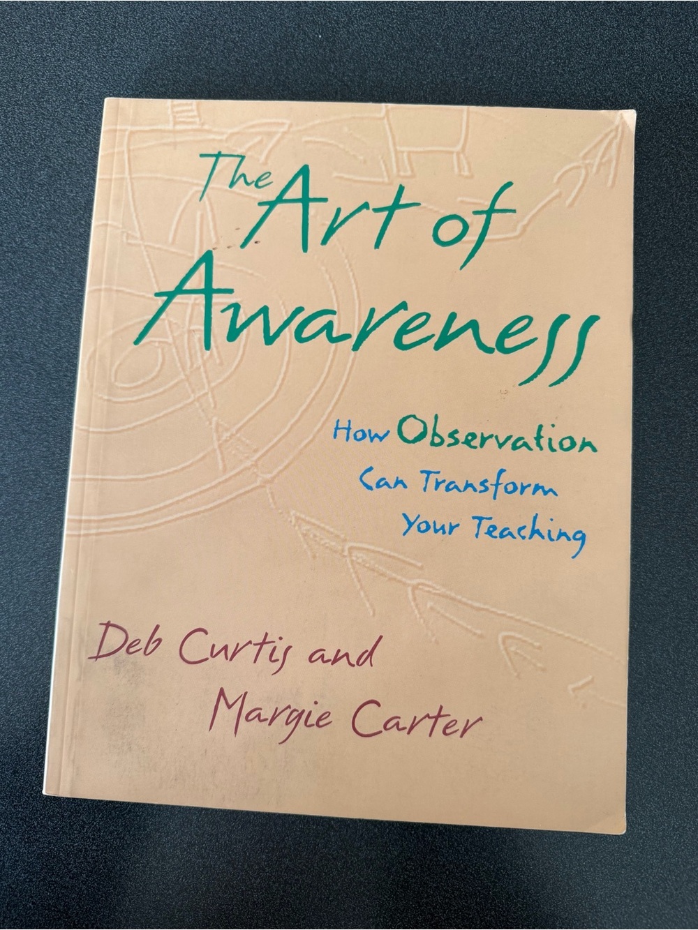 The Art of Awareness Beige Paperback by Deb Curtis and Margie Carter